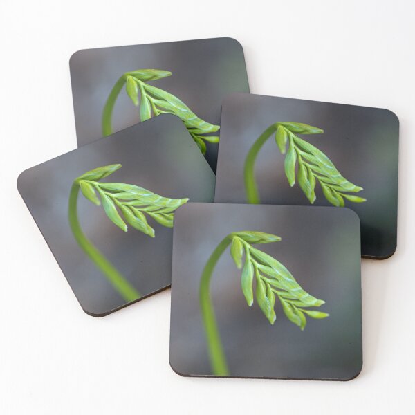 Item preview, Freesia Bud Waking Up designed and sold by Joy Watson - Natural Light Photography .