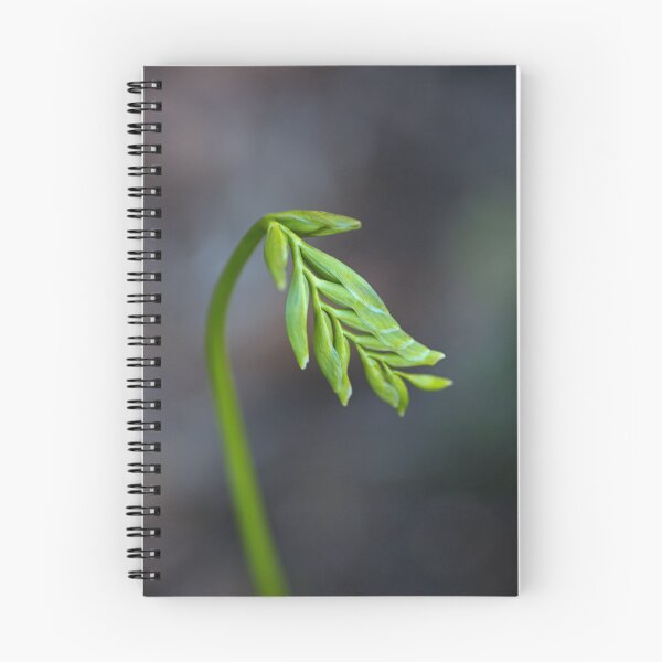 Item preview, Freesia Bud Waking Up designed and sold by Joy Watson - Natural Light Photography .