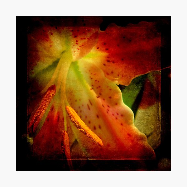 Flowery Photographic Print