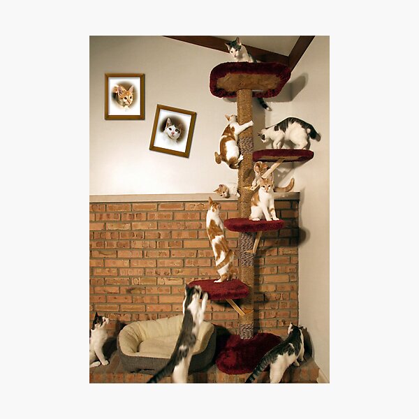 Home Sweet Home (Eight Is Enough) Photographic Print