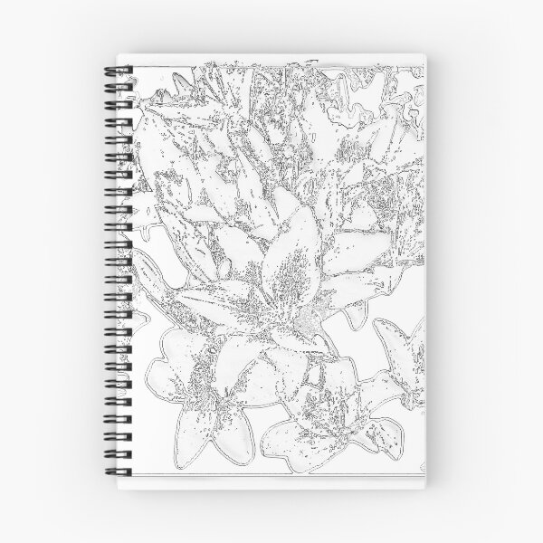 Item preview, Large Bunch of Flowers - pencil sketch  designed and sold by designbywhacky.