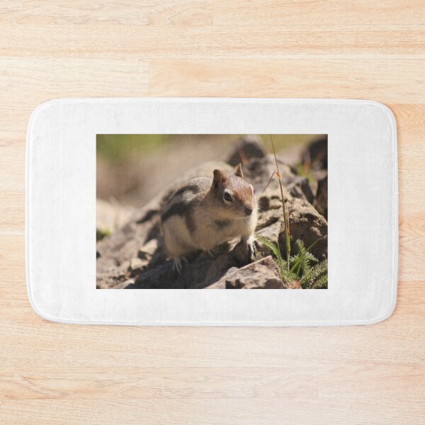Item preview, SQUIRREL!!! designed and sold by sarah ward.