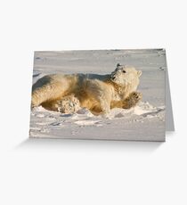 Hello. Care for a roll in the snow? Greeting Card