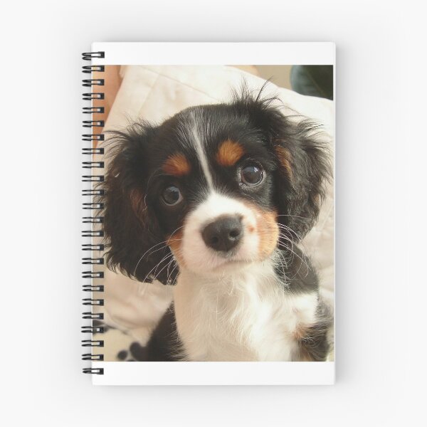 Item preview, Charlie Girl (Charlotte Rose) at 10 weeks old designed and sold by AnnDixon.