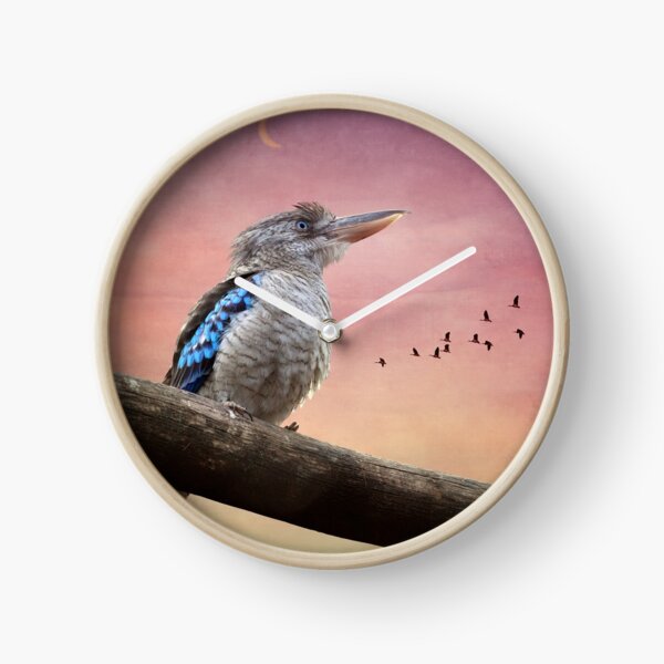 Kookaburra 0243 Clock