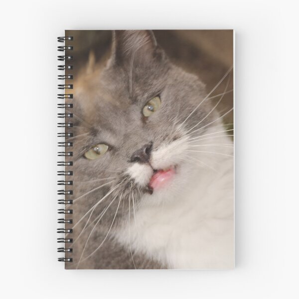 Item preview, My Darling Smokey - Sadly passed away 10th December 2019 designed and sold by AnnDixon.
