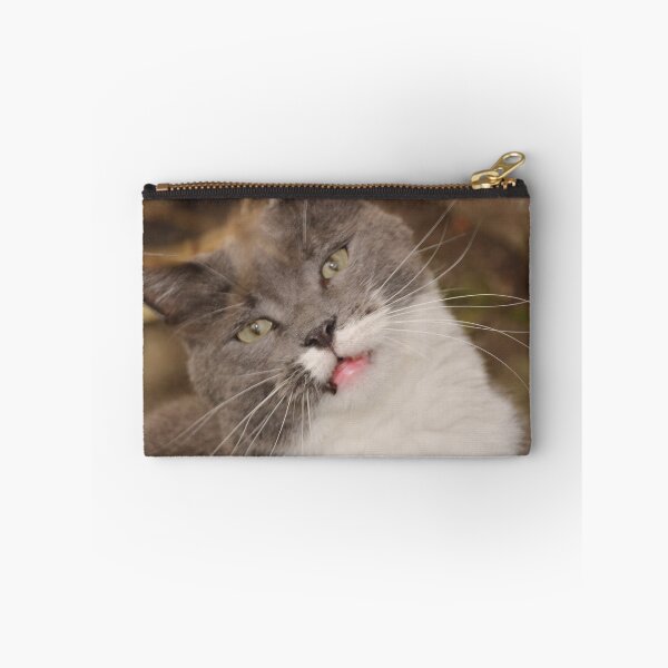 Item preview, My Darling Smokey - Sadly passed away 10th December 2019 designed and sold by AnnDixon.