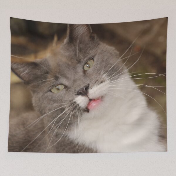 Item preview, My Darling Smokey - Sadly passed away 10th December 2019 designed and sold by AnnDixon.