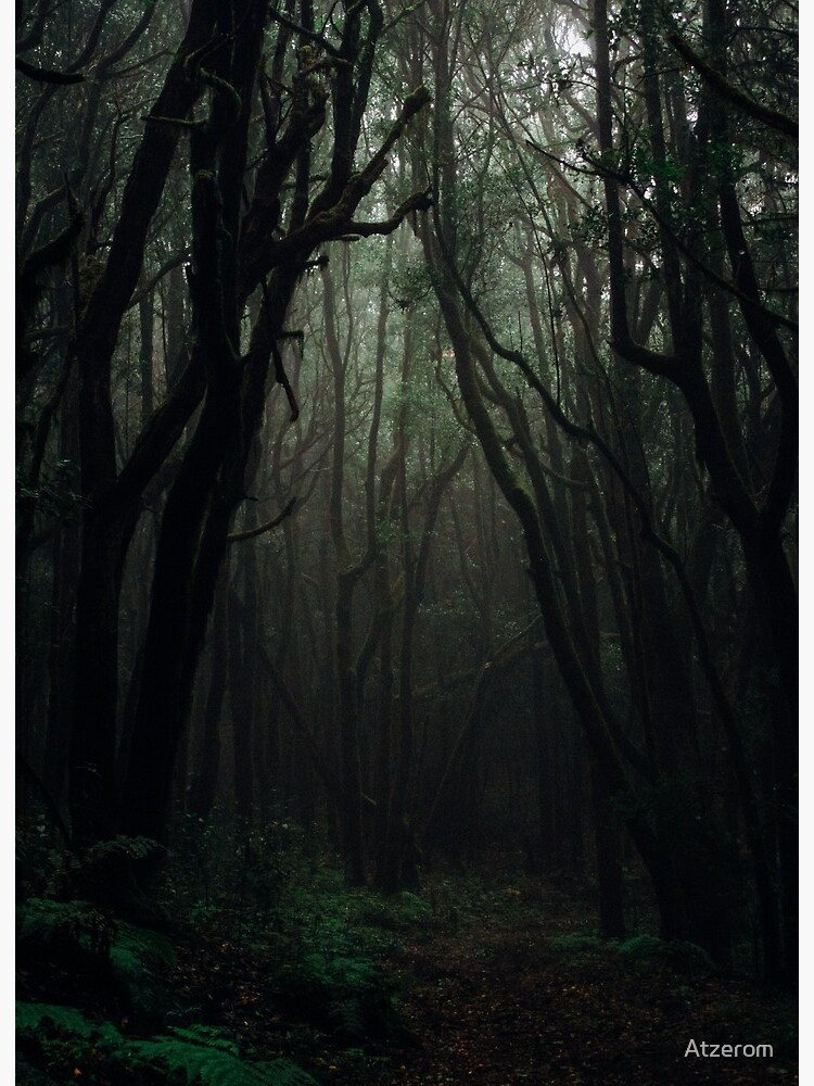 Dark Forest Art Board Print By Atzerom Redbubble