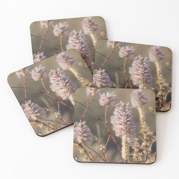 Item preview, Outback Wildflowers  designed and sold by MargsNaturePix.