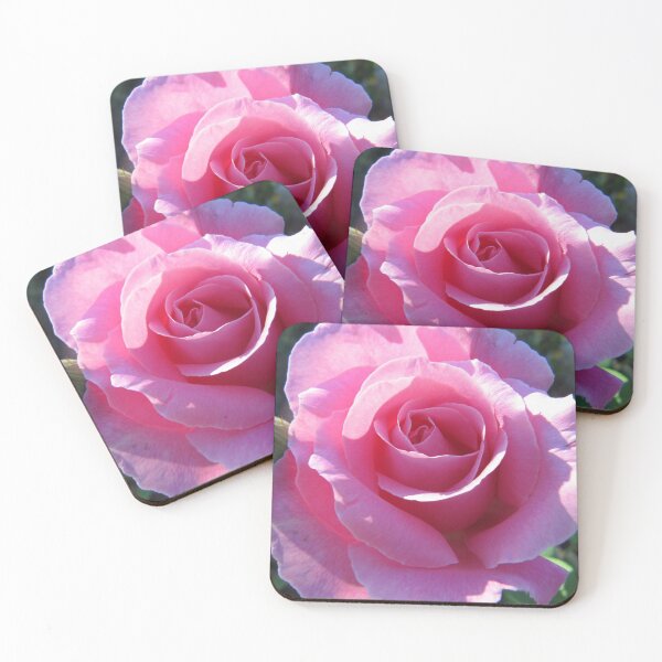 Item preview, Edged with Sunlight. Early morning, Perfume Delight Rose, in the garden.  designed and sold by RitaBlom.