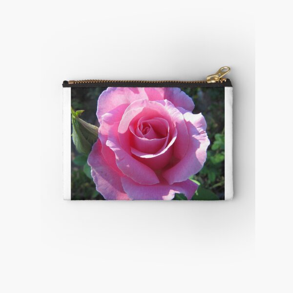 Item preview, Edged with Sunlight. Early morning, Perfume Delight Rose, in the garden.  designed and sold by RitaBlom.