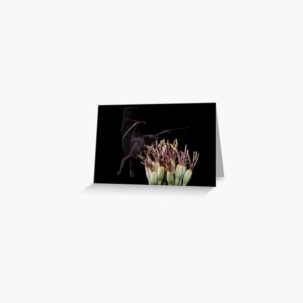 Hanging in the Air Greeting Card