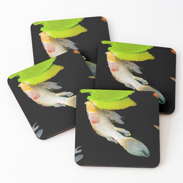 Item preview, The Curiosity of Number 12 designed and sold by Marilyn Cornwell.