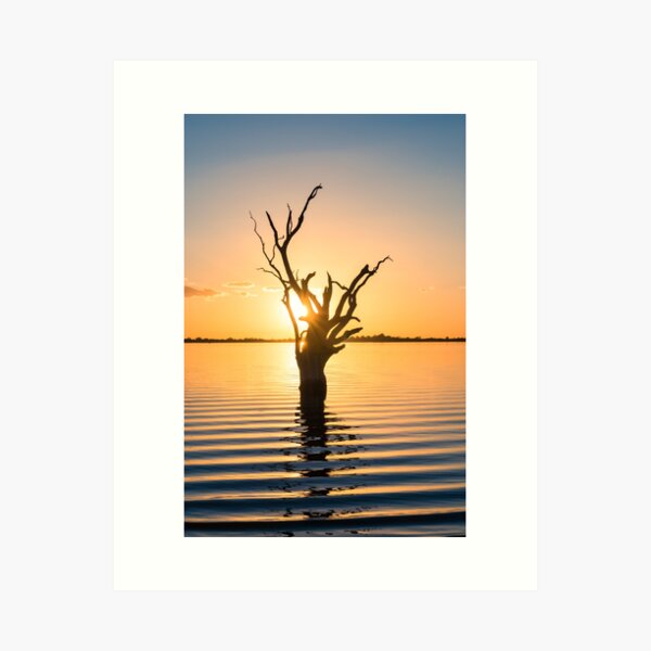 Item preview, Lake Bonney Sunset (vertical) designed and sold by Ray's Photos & Art.