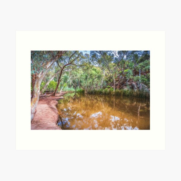 Item preview, Wilpena Billabong  designed and sold by Ray's Photos & Art.