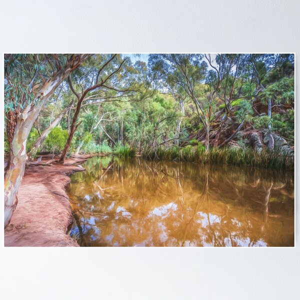 Item preview, Wilpena Billabong  designed and sold by Ray's Photos & Art.