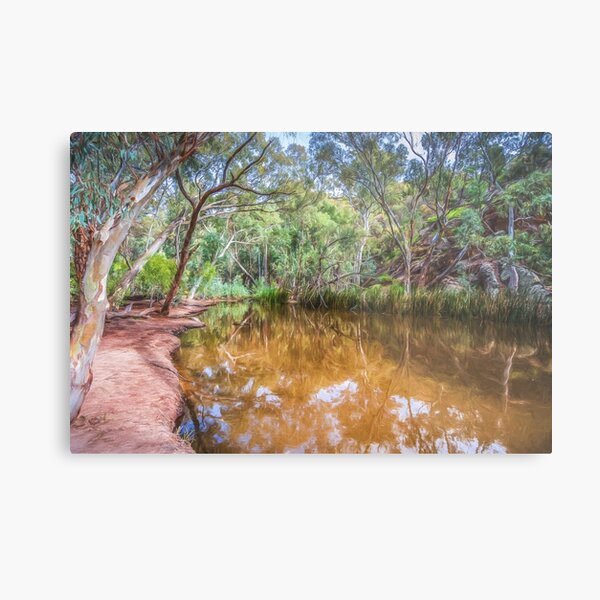 Item preview, Wilpena Billabong  designed and sold by Ray's Photos & Art.