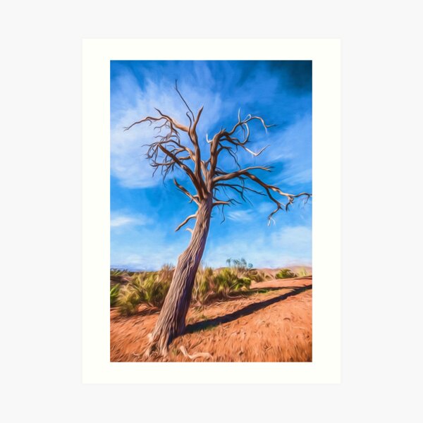 Outback Tree Art Print