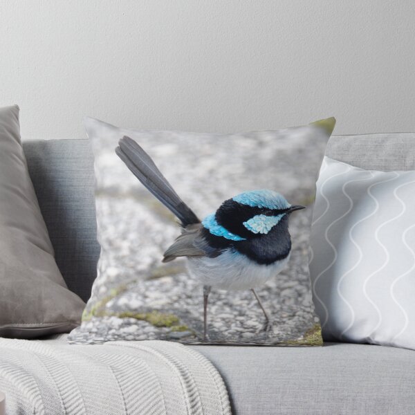 Item preview, Little Blue Fairywren on the Pavement designed and sold by imaginethis.
