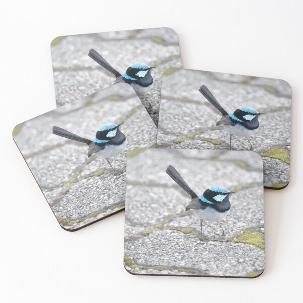 Item preview, Little Blue Fairywren on the Pavement designed and sold by imaginethis.