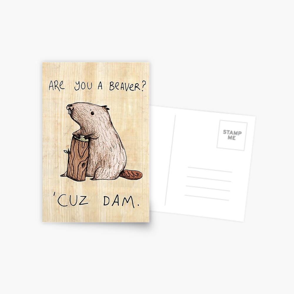 Dam Postcard