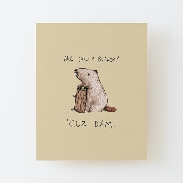 Dam Wood Mounted Print