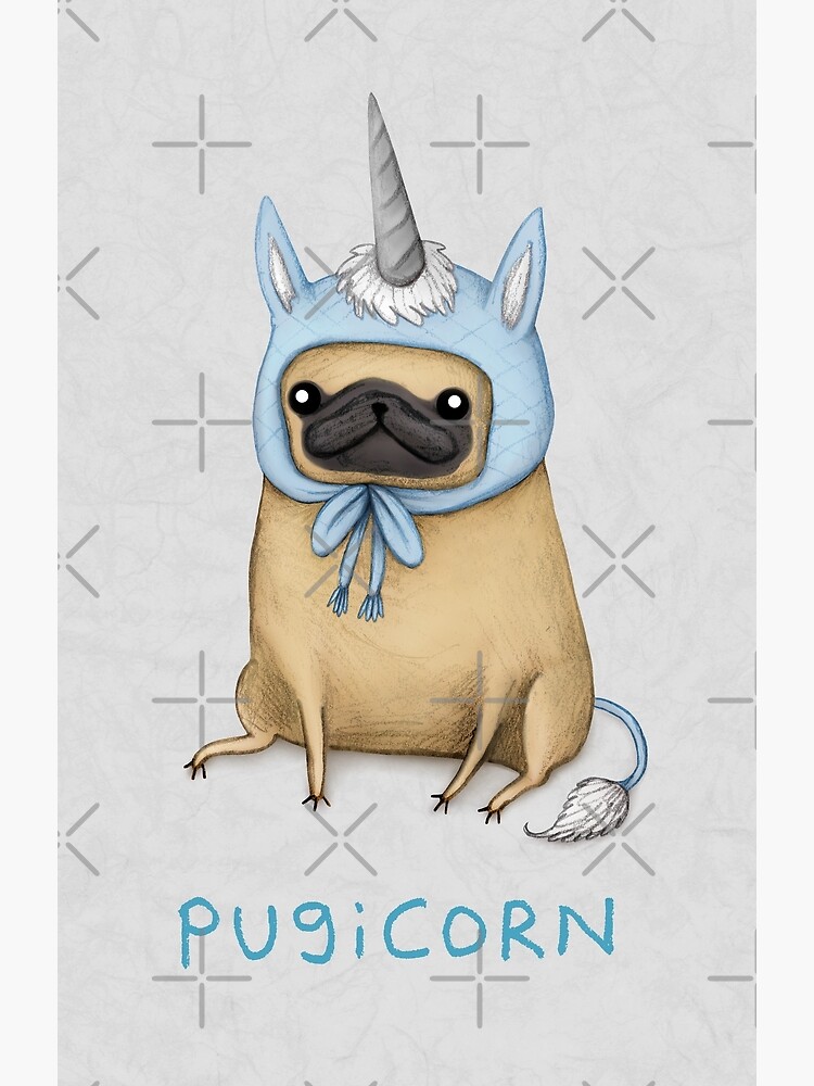 pugicorn teddy