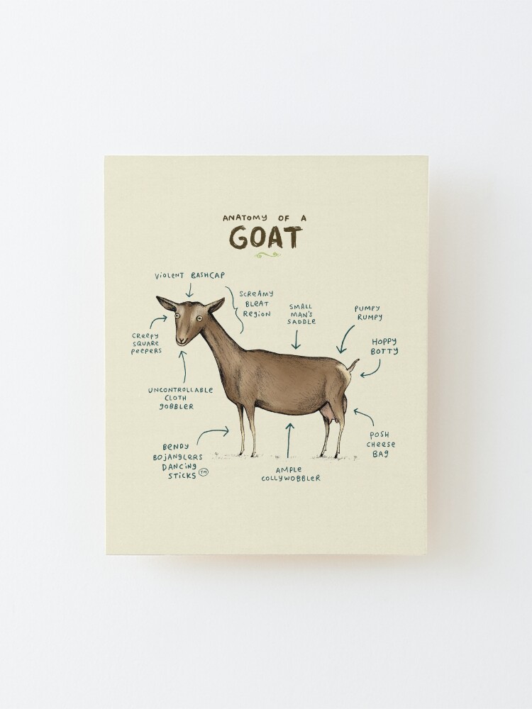 Anatomy of a Goat