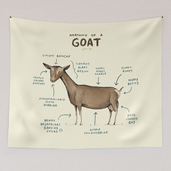 Item preview, Anatomy of a Goat designed and sold by SophieCorrigan.