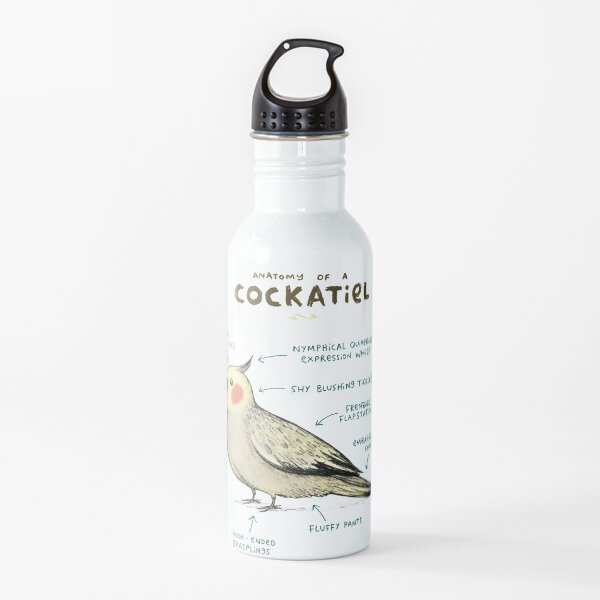 Anatomy of a Cockatiel Water Bottle