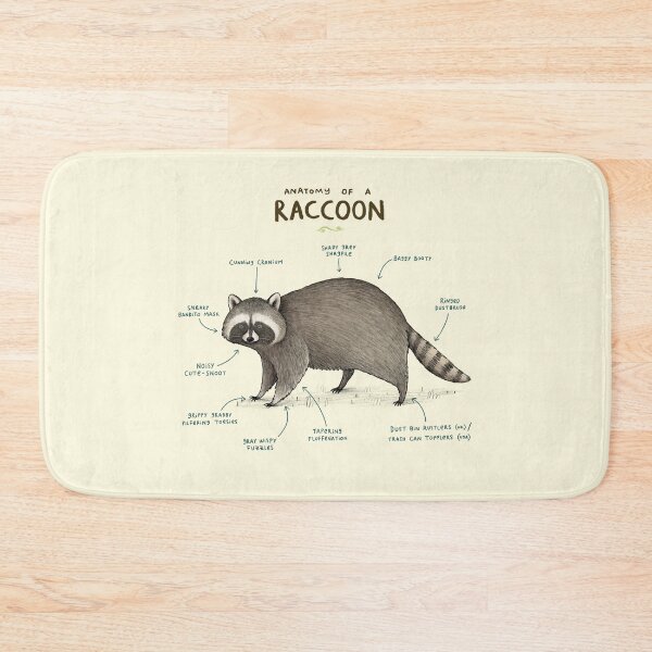 Item preview, Anatomy of a Raccoon designed and sold by SophieCorrigan.