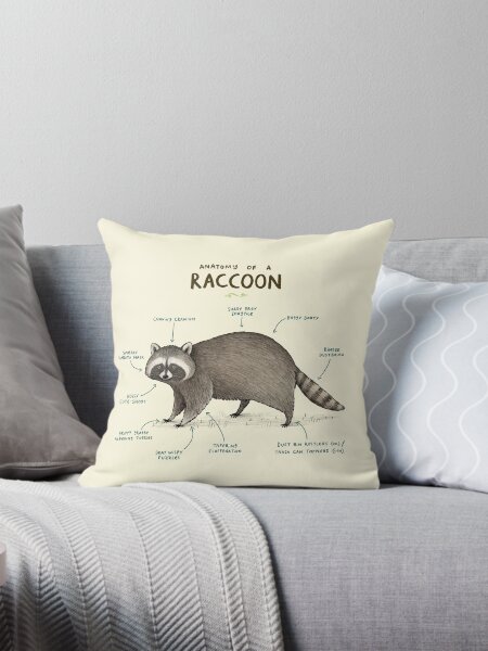 Item preview, Anatomy of a Raccoon designed and sold by SophieCorrigan.