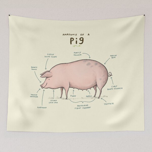Item preview, Anatomy of a Pig designed and sold by SophieCorrigan.