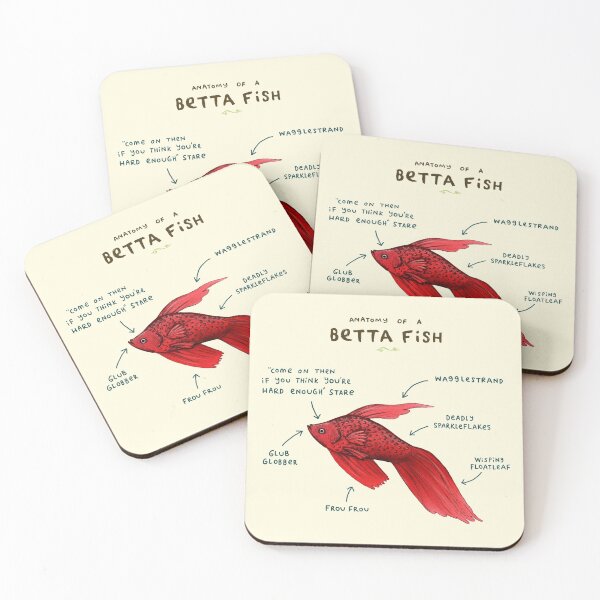Item preview, Anatomy of a Betta Fish designed and sold by SophieCorrigan.