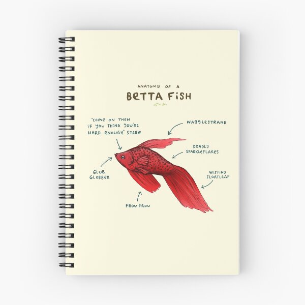 Item preview, Anatomy of a Betta Fish designed and sold by SophieCorrigan.