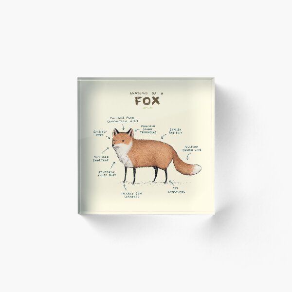 Anatomy of a Fox Acrylic Block