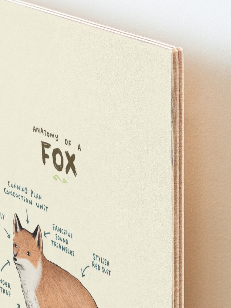 Alternate view of Anatomy of a Fox Mounted Print