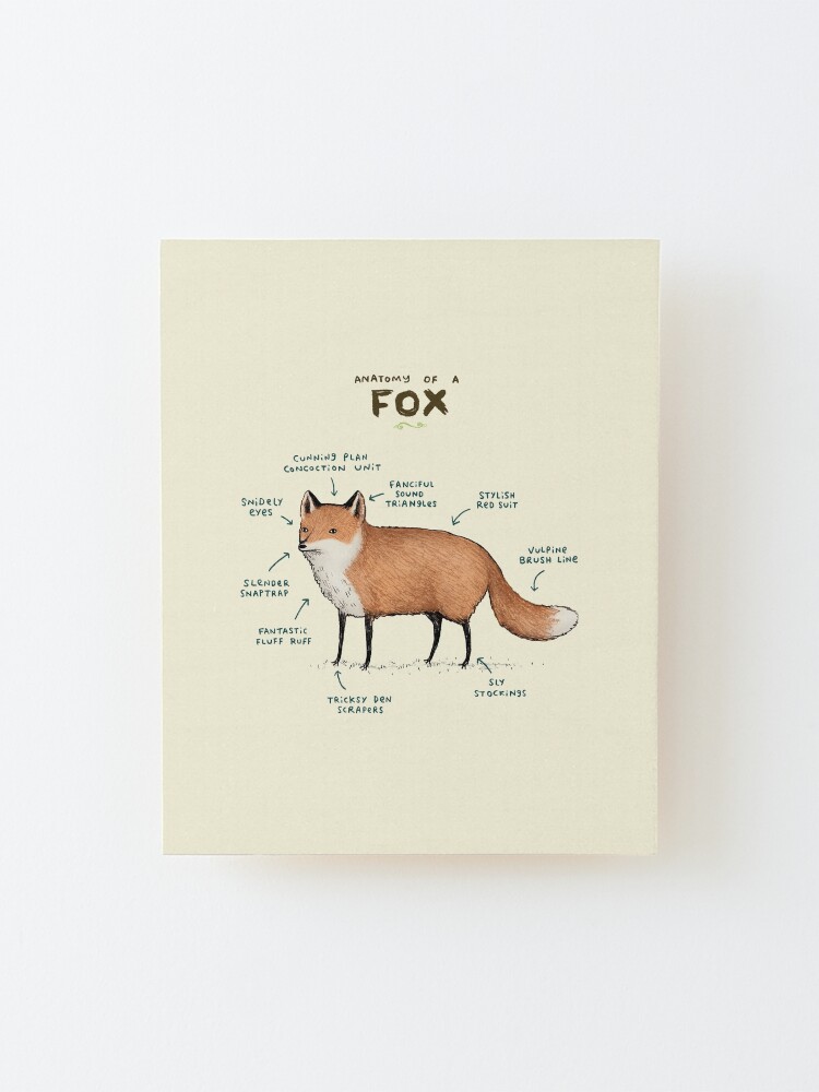 Alternate view of Anatomy of a Fox Mounted Print