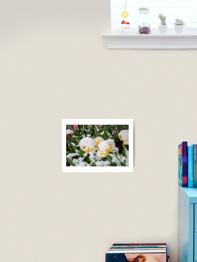 Thumbnail 2 of 3, Art Print, Canadian Springtime [Roufxis-Rb] designed and sold by RoufXis.