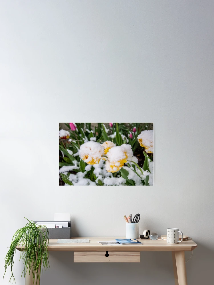 Thumbnail 2 of 3, Poster, Canadian Springtime [Roufxis-Rb] designed and sold by RoufXis.