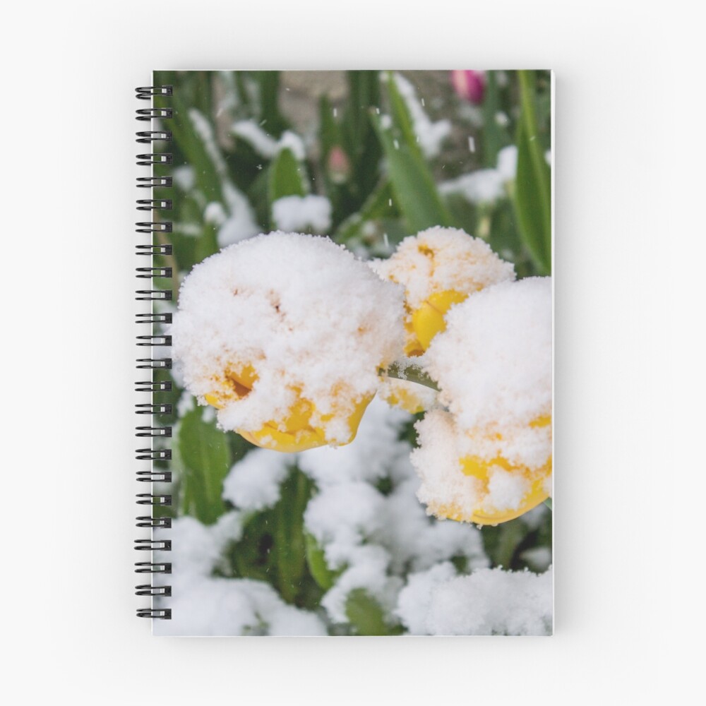 Item preview, Spiral Notebook designed and sold by RoufXis.