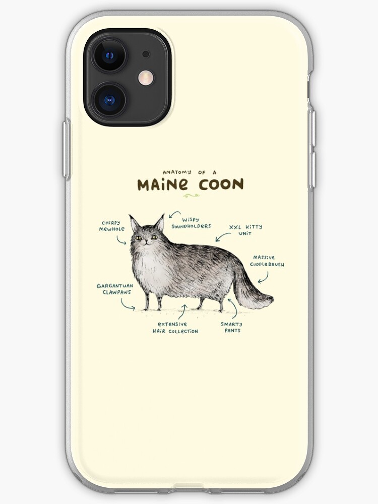 Anatomy of a Fox iphone 11 case Anatomy of a Fox iphone 11 case