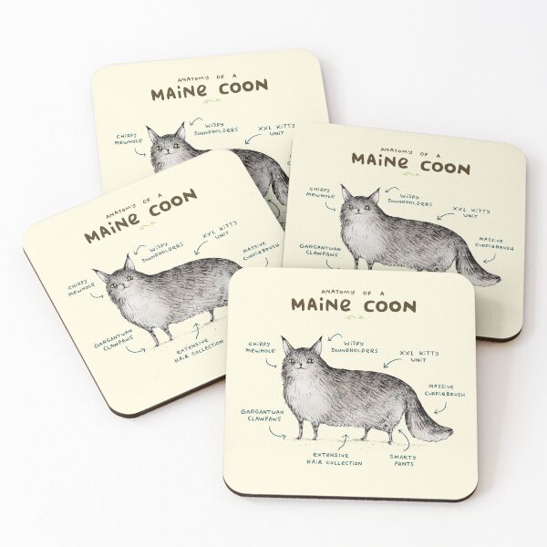 Anatomy of a Maine Coon Coasters (Set of 4)