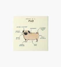 Anatomy of a Pug Art Board Print