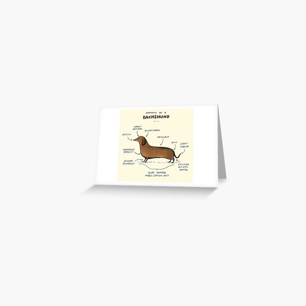 Anatomy of a Dachshund Greeting Card