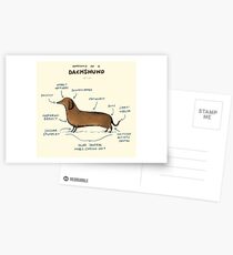 Anatomy of a Dachshund Postcards