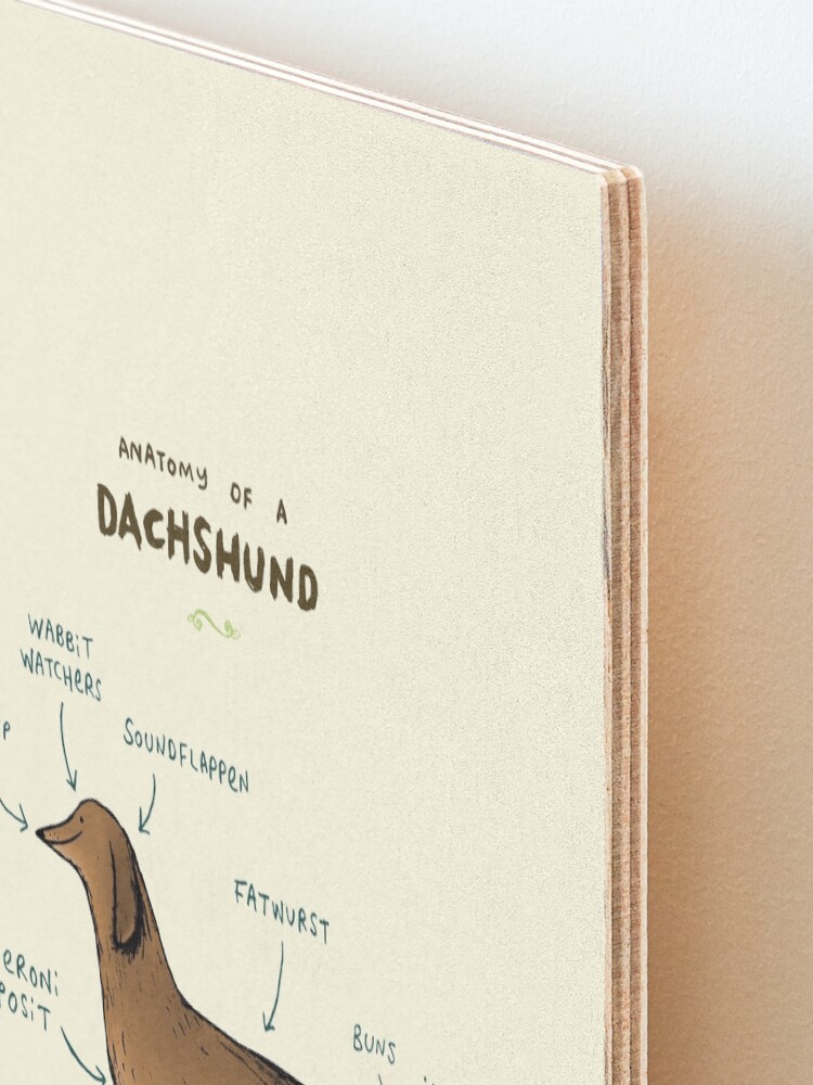 Alternate view of Anatomy of a Dachshund Mounted Print