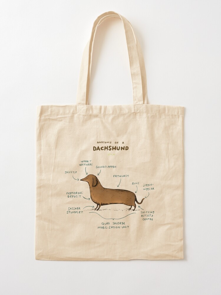 Thumbnail 2 of 5, Tote Bag, Anatomy of a Dachshund designed and sold by Sophie Corrigan.
