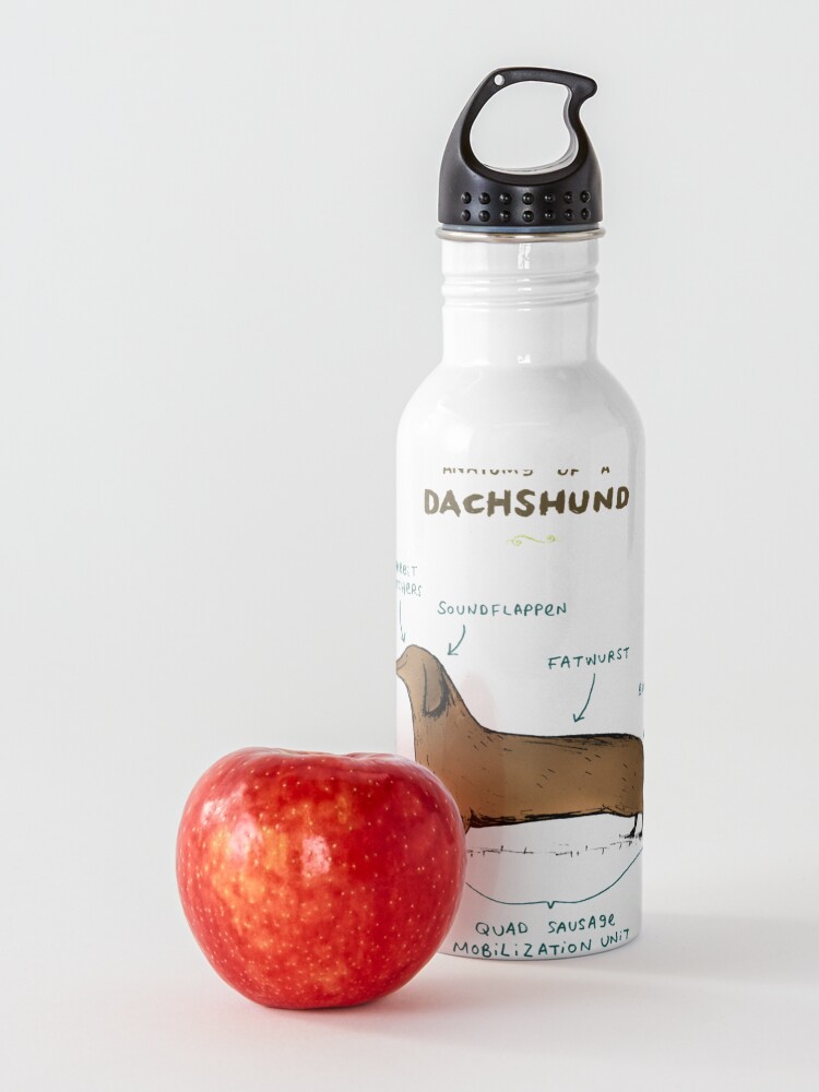 Alternate view of Anatomy of a Dachshund Water Bottle